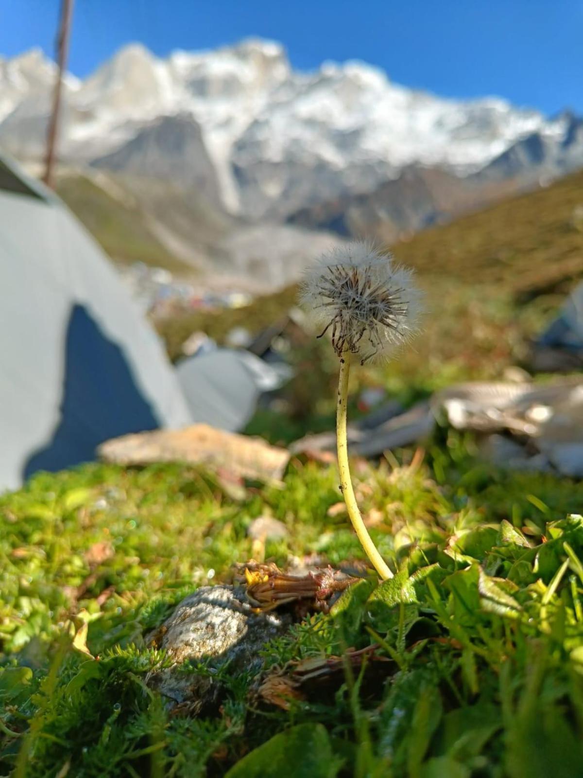 कैम्पिंग की जगह Nature Camp By Nitin *